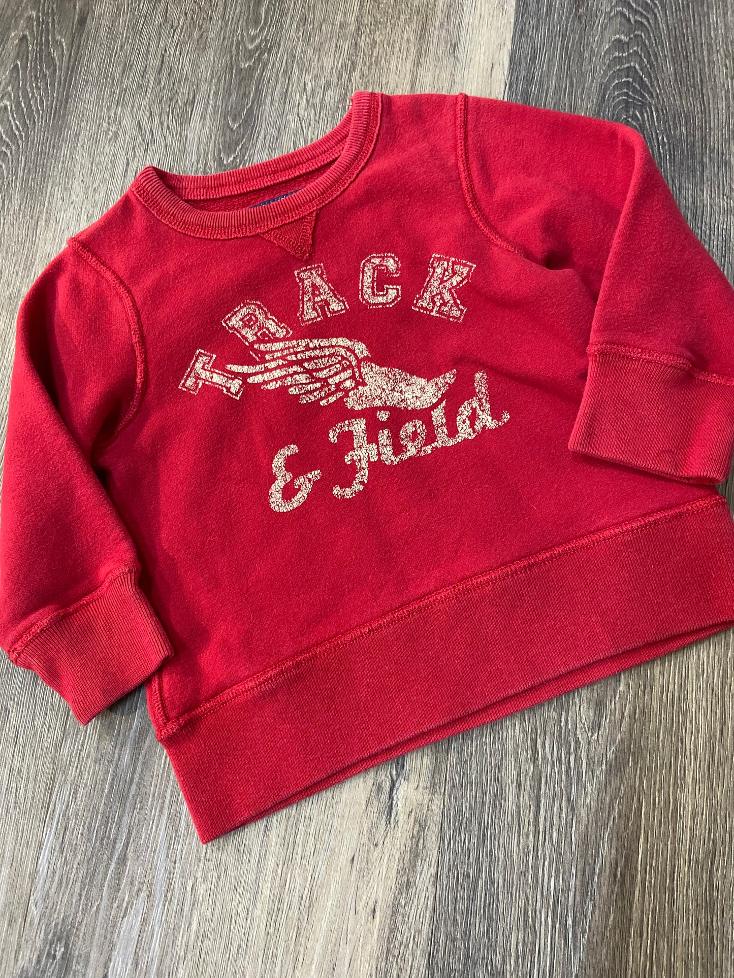 3T “Children’s Place” Sweatshirt