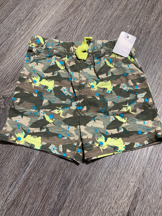 18-24 M “George” Shorts
