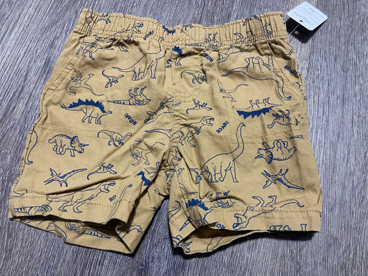 18 M “Carter’s” Shorts