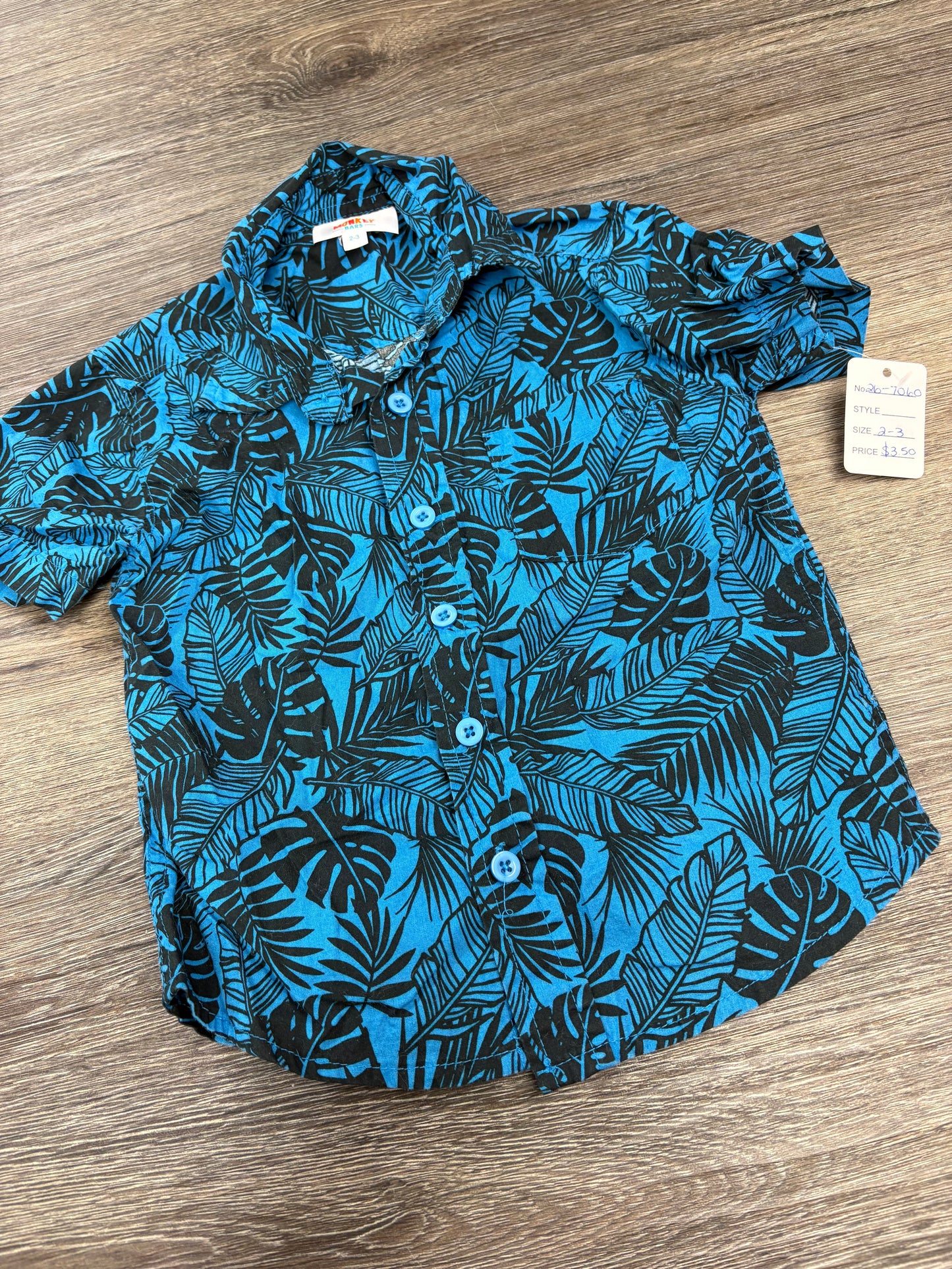 2/3 “Monkey Bars” Button Down