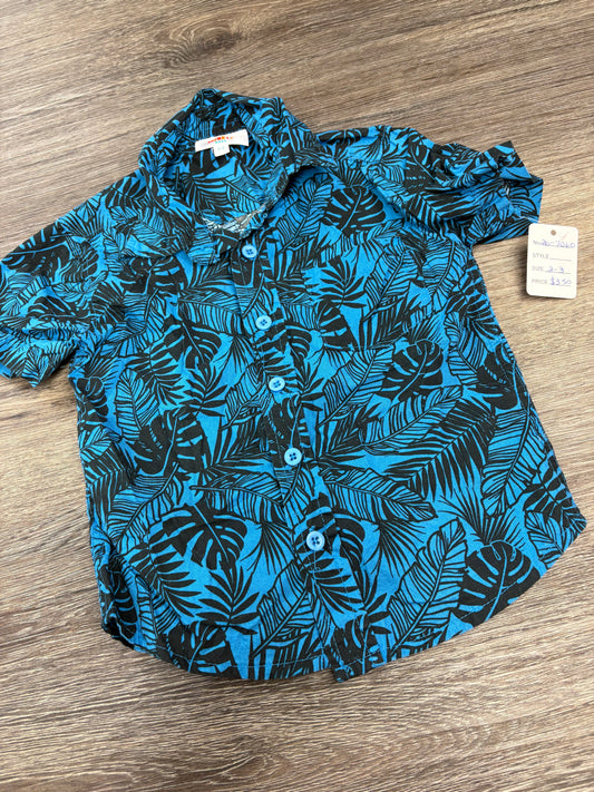 2/3 “Monkey Bars” Button Down