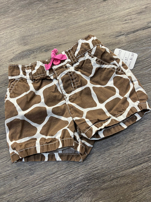 3T “Carter’s” Shorts