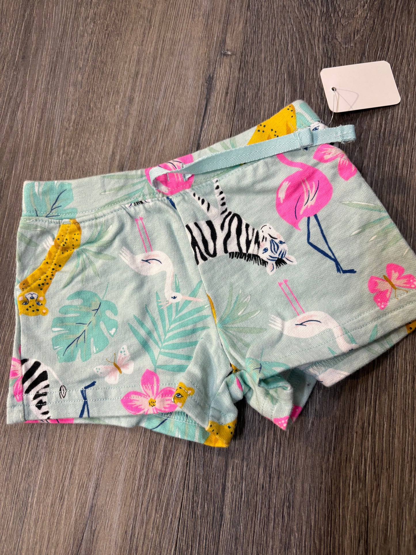6 M “Carter’s” Shorts