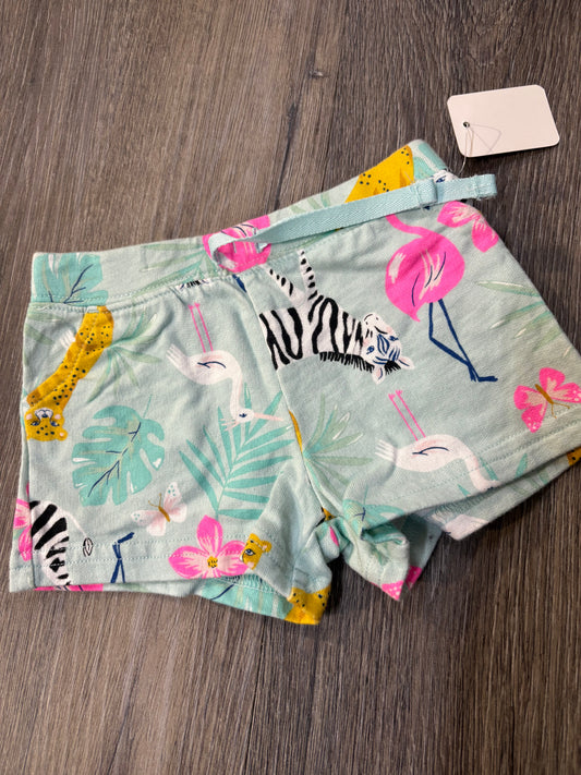 6 M “Carter’s” Shorts
