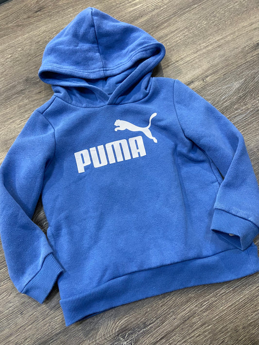 3 “Puma” Hoodie