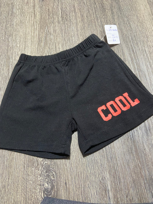 92 (2-3) Shorts
